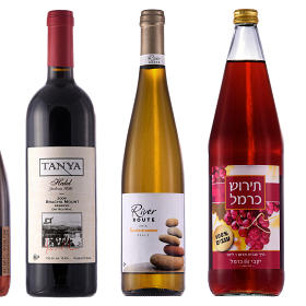 0904 Wine Bottles